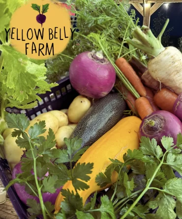 Feast Cork: Farm-to-Fork Dining Experience