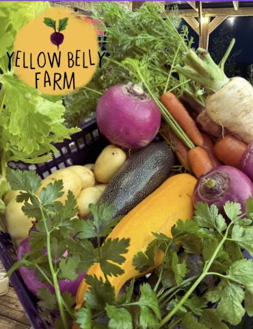 Feast Cork: Farm-to-Fork Dining Experience