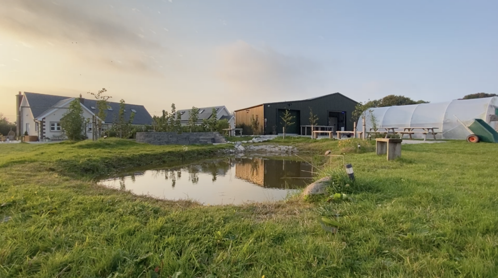 Yellow Belly Farm Evening