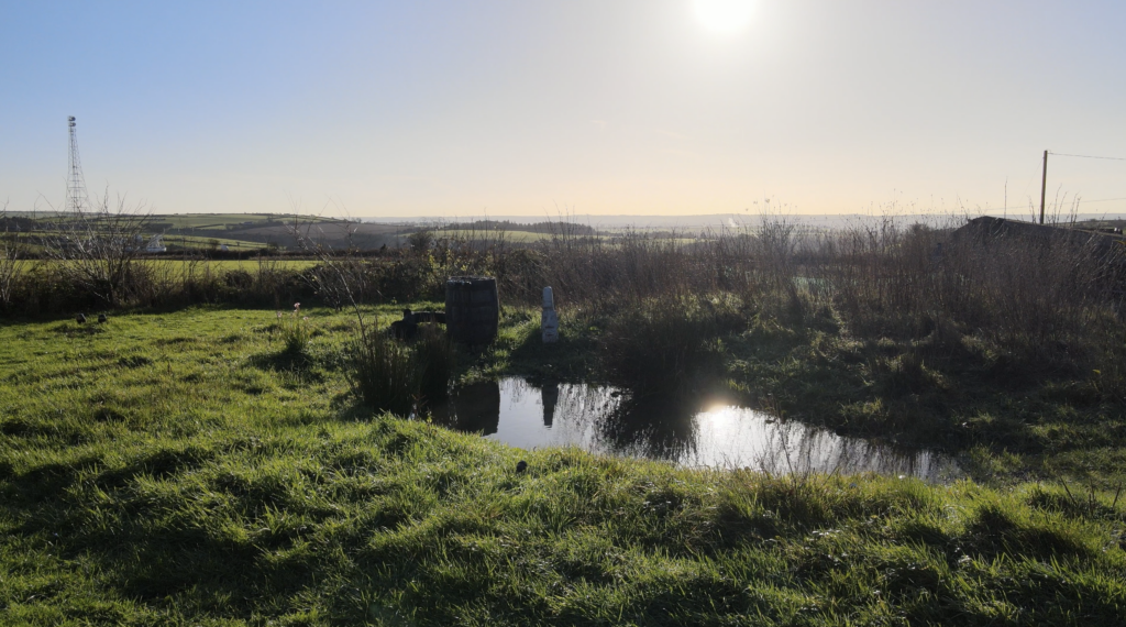 Yellow Belly Farm Pond