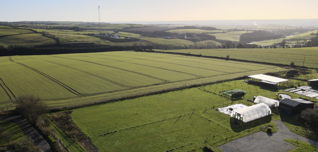 Yellow Belly Farm View