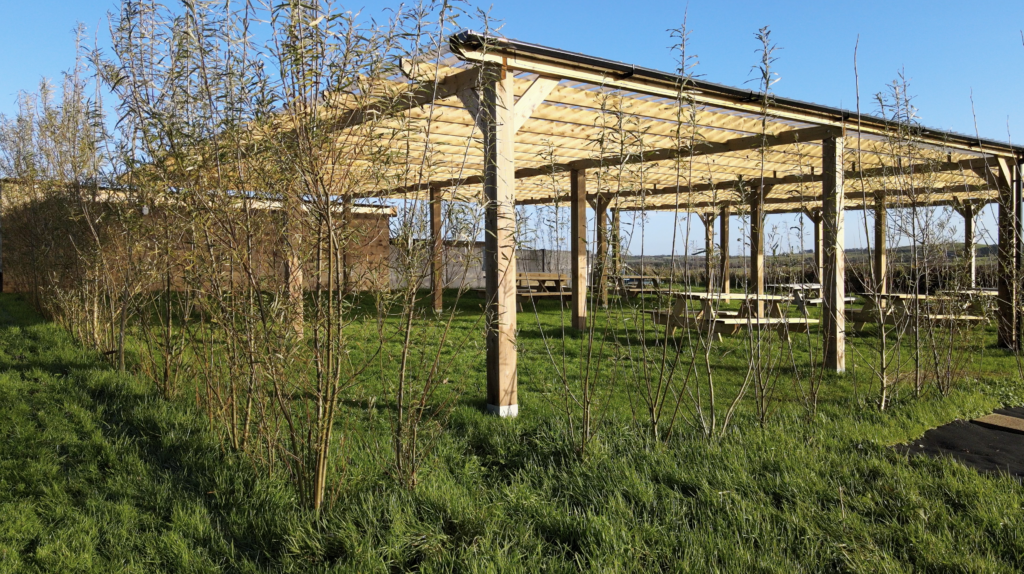 Event Pergola at Yellow Belly Farm, Cork