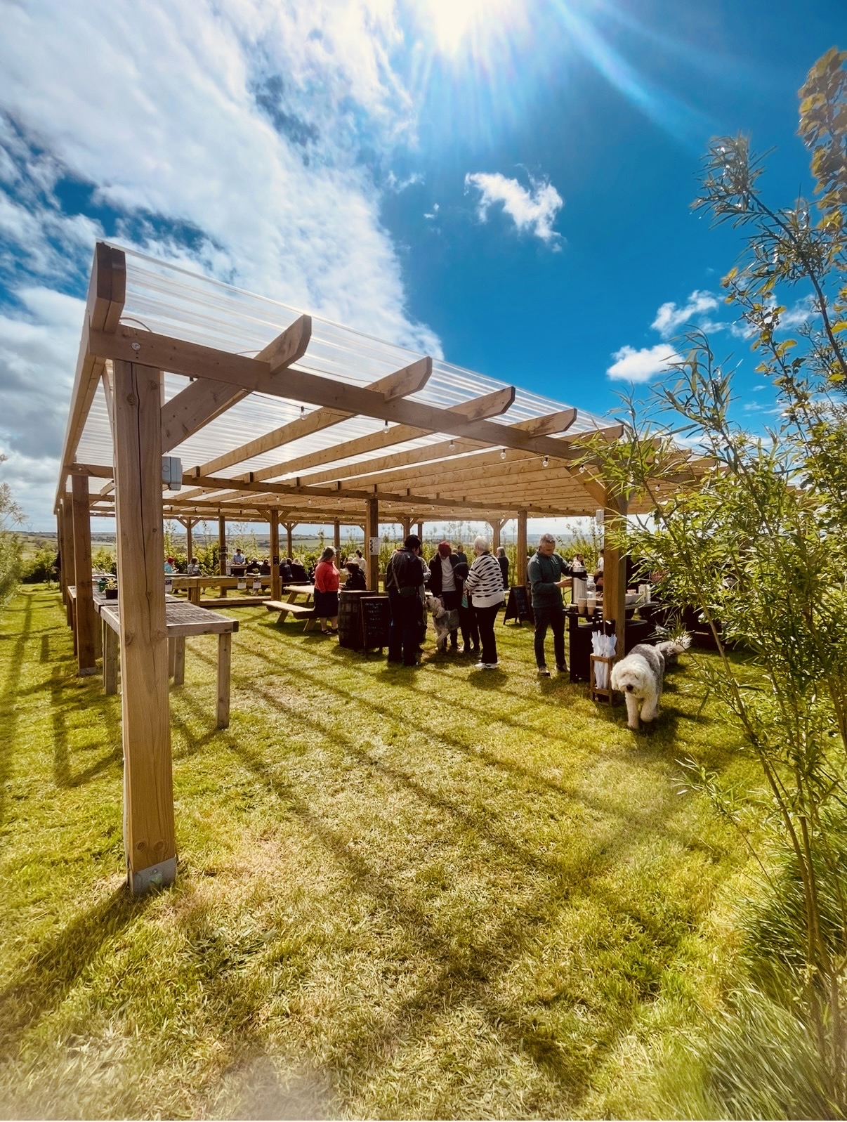 Group of people mingling under a wooden pergola with picnic tables at an outdoor event on a sunny day; a white fluffy dog nearby on the grass.